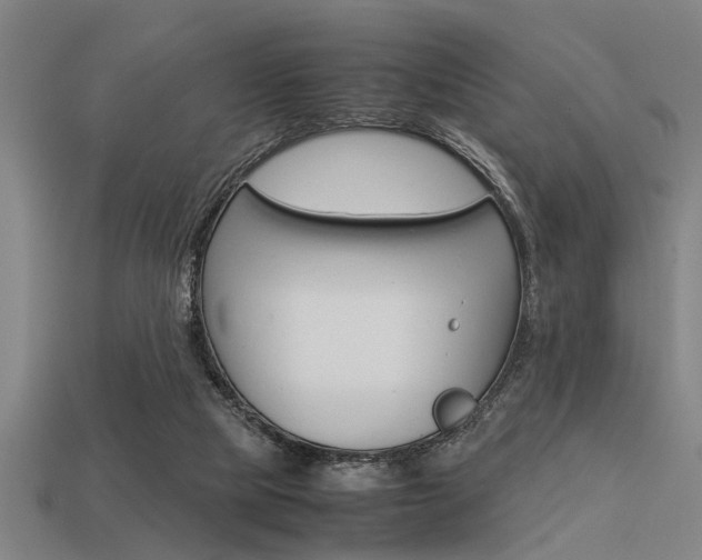 X0000113590065200909181056