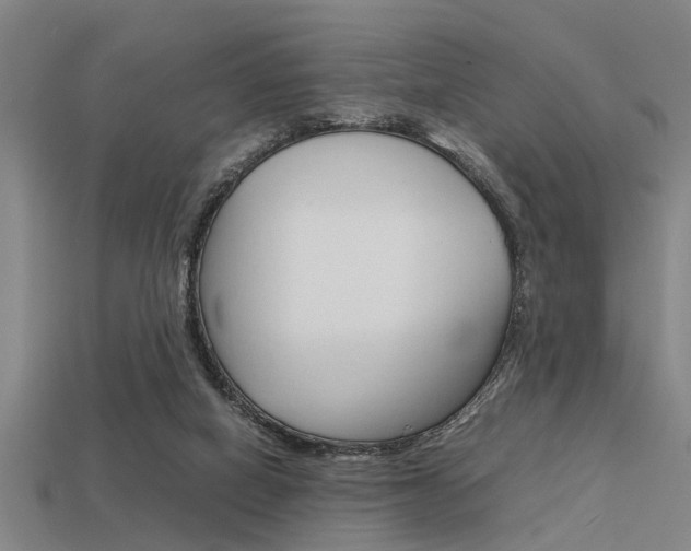 X0000113590066200909181056