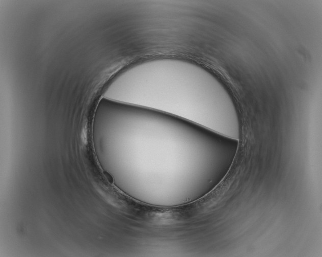 X0000113590068200909181056