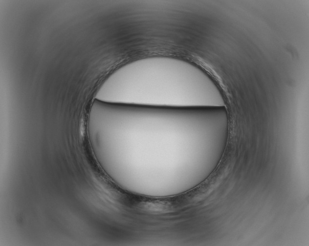 X0000113590069200909181056