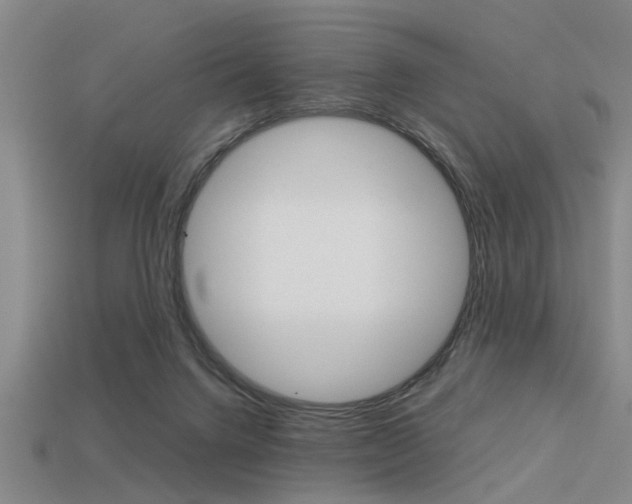 X0000113590072200909181056