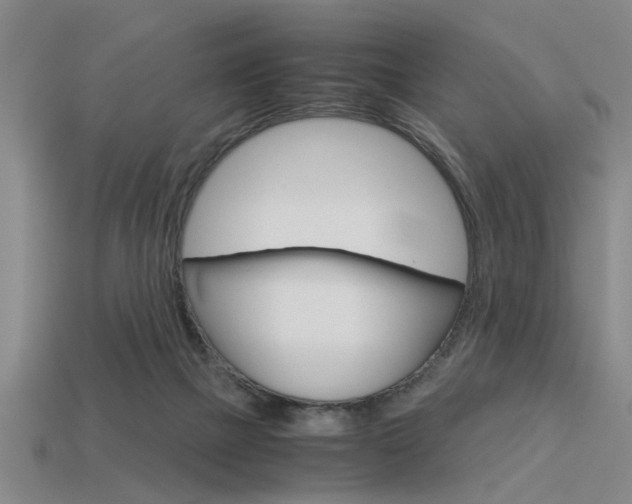 X0000113590073200909181056