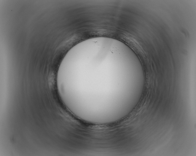 X0000113590077200909181056