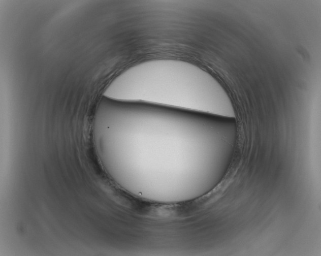 X0000113590078200909181056