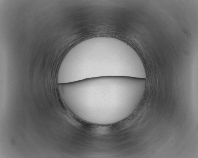 X0000113590081200909181056
