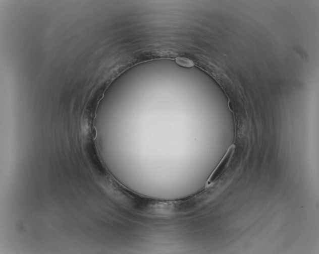 X0000113590084200909181057