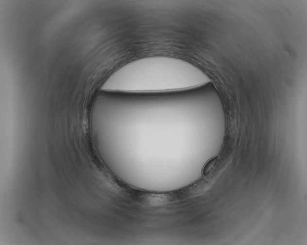 X0000113590085200909181057