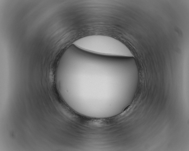 X0000113590086200909181057