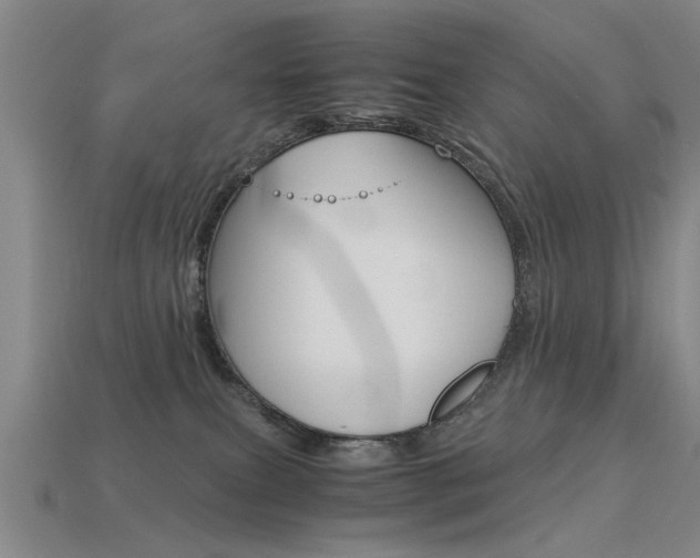 X0000113590087200909181057