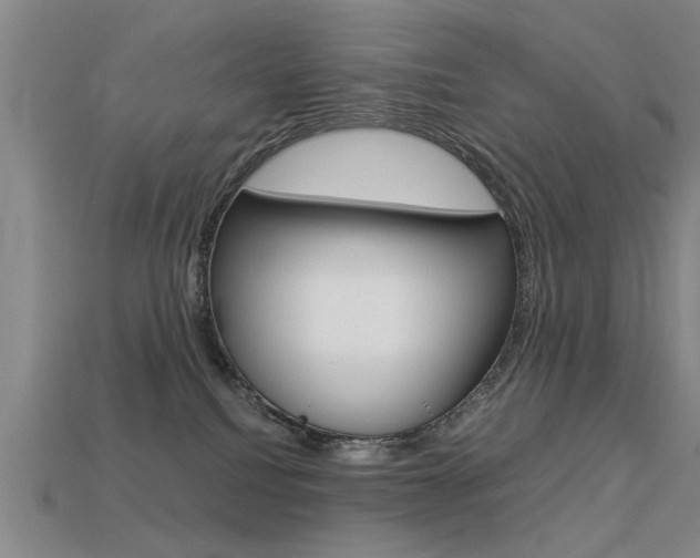 X0000113590088200909181057