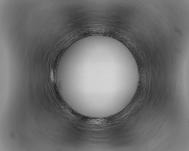 X0000113590089200909181057