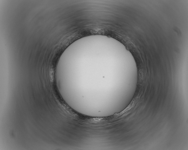 X0000113590090200909181057