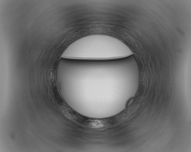 X0000113590091200909181057