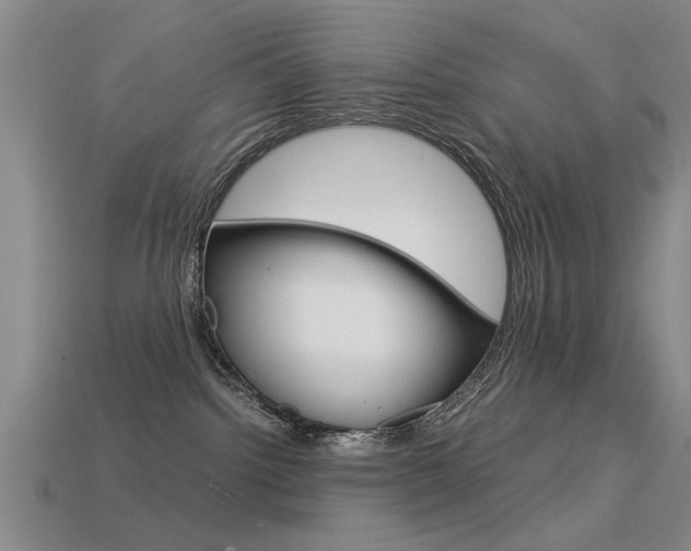 X0000113590092200909181057