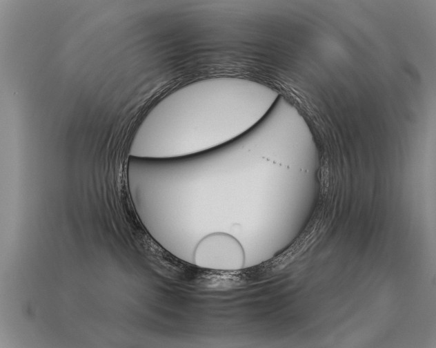 X0000113590093200909181057