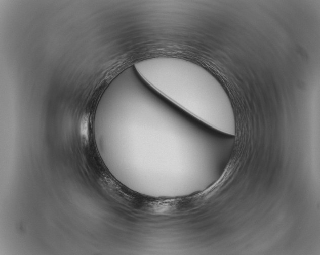 X0000113590094200909181057