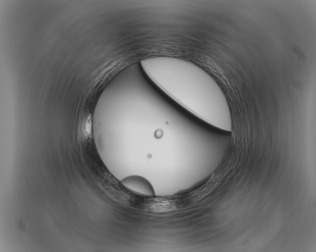 X0000113590095200909181057