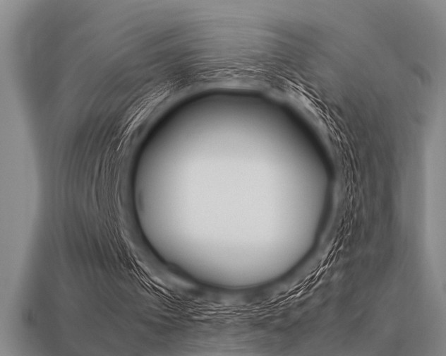 X0000113590097200909181056