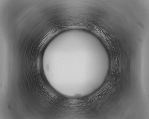 X0000113590098200909181056