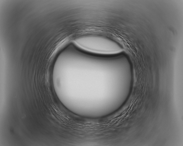 X0000113590099200909181056