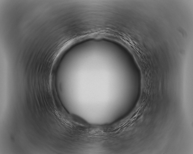 X0000113590100200909181056