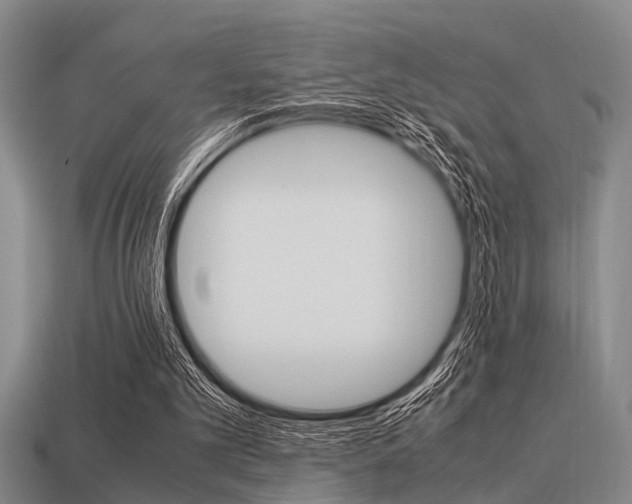 X0000113590101200909181056