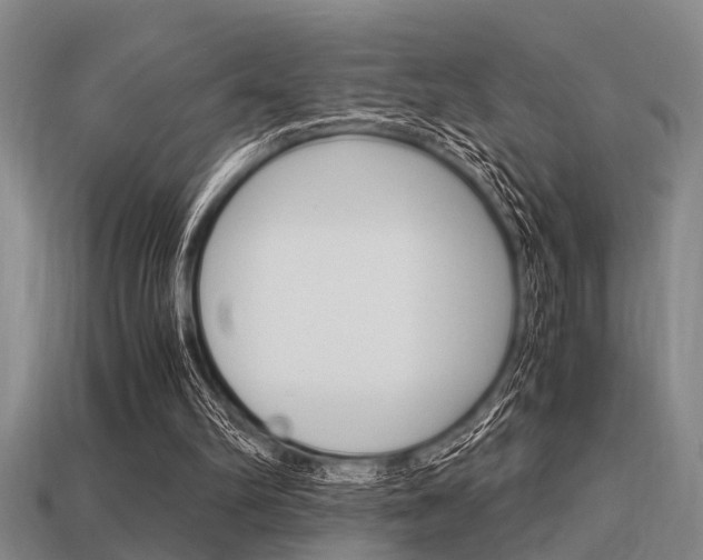 X0000113590102200909181056