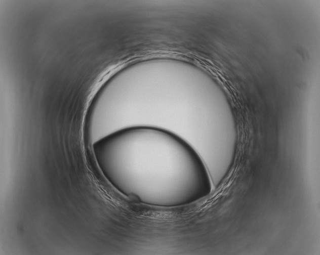 X0000113590104200909181056