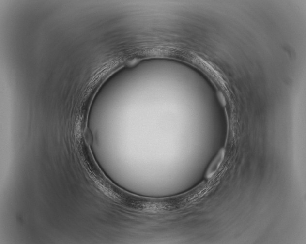 X0000113590105200909181056