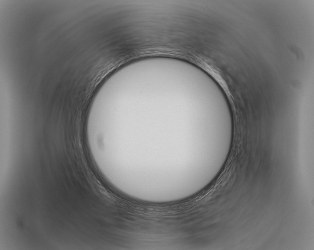 X0000113590109200909181056
