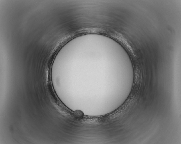 X0000113590110200909181056