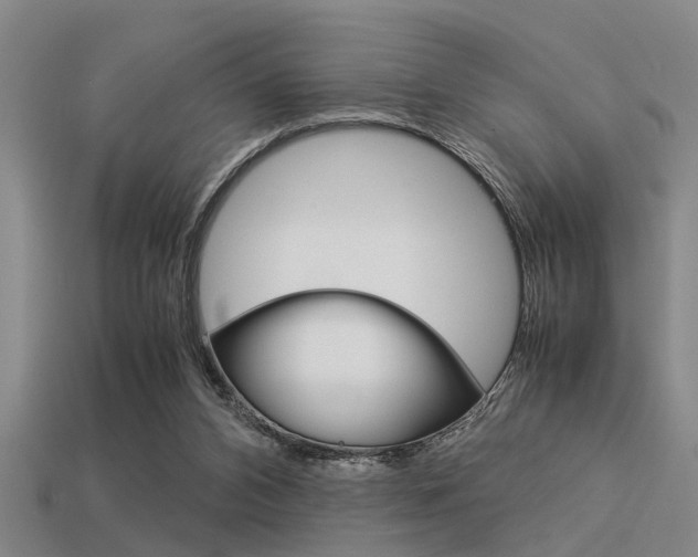 X0000113590112200909181056
