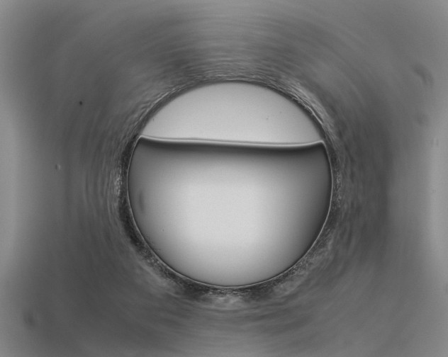 X0000113590113200909181056