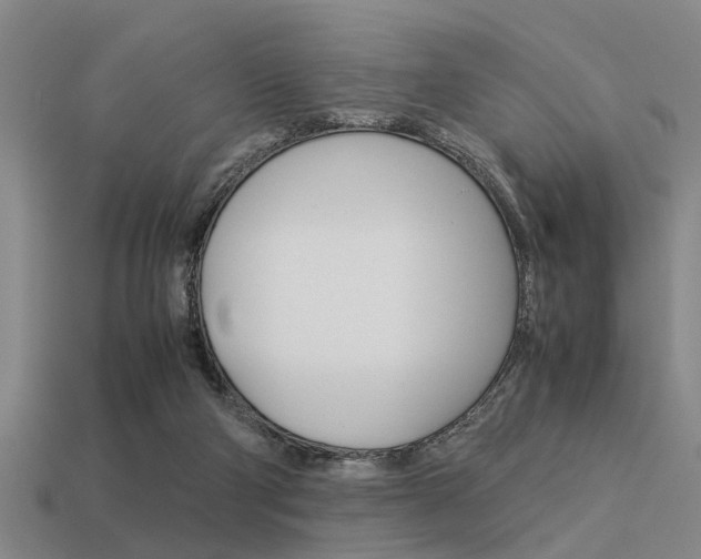 X0000113590114200909181056