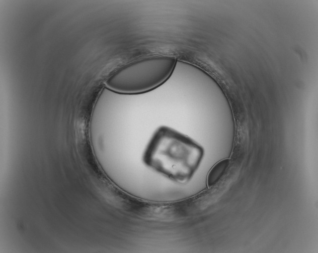 X0000113590117200909181056