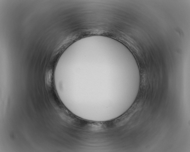 X0000113590118200909181056