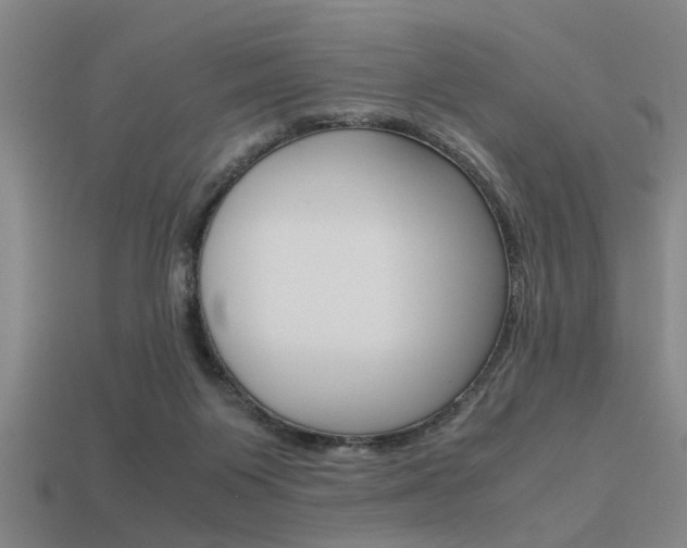 X0000113590119200909181056