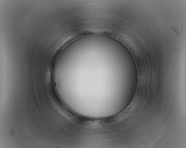 X0000113590120200909181056