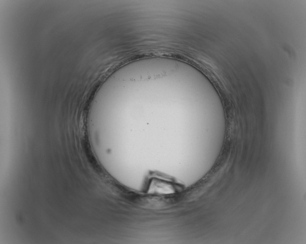 X0000113590121200909181056