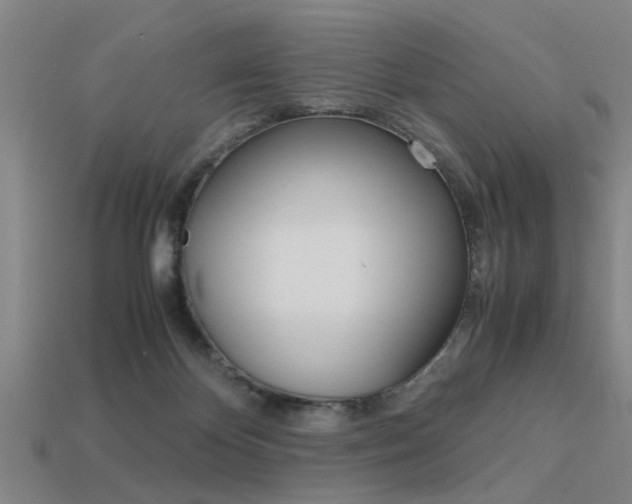 X0000113590124200909181056