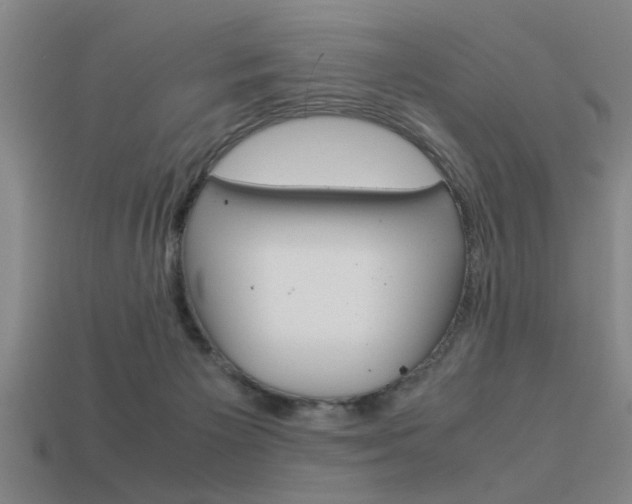 X0000113590125200909181056
