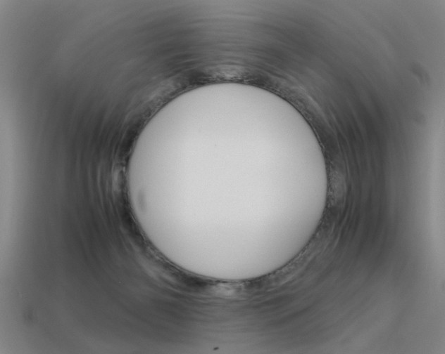 X0000113590126200909181056