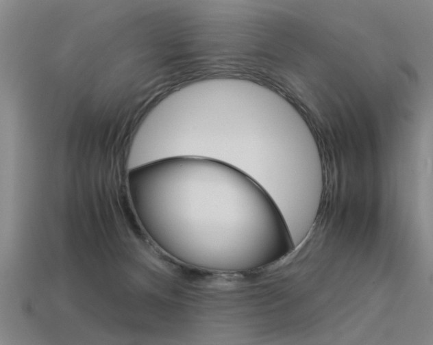 X0000113590128200909181056