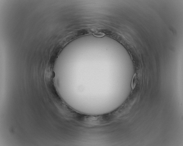 X0000113590129200909181056