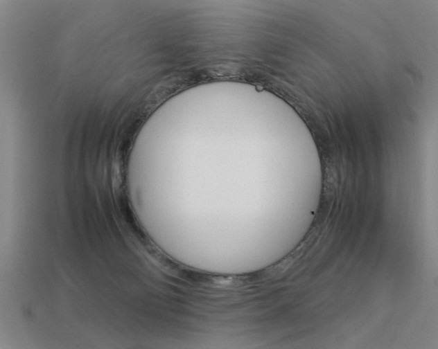 X0000113590130200909181056