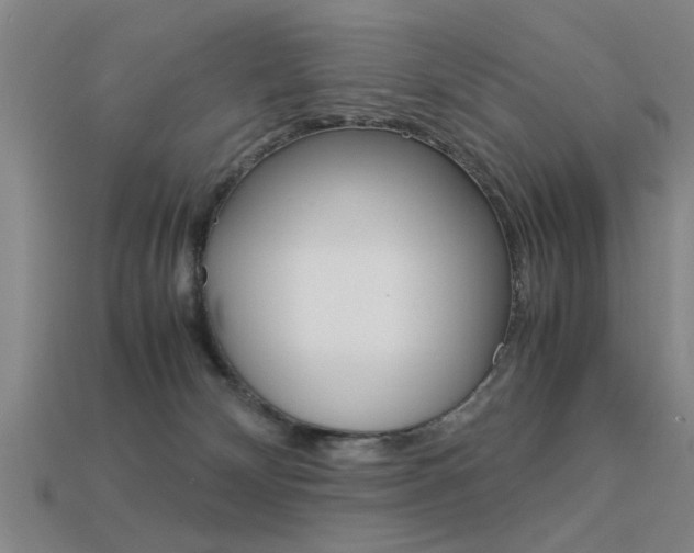 X0000113590132200909181056