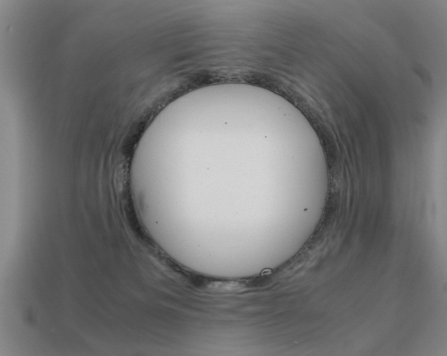 X0000113590133200909181056