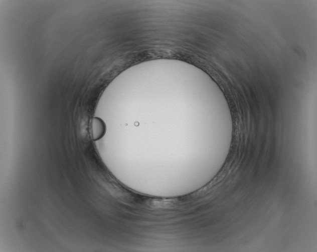 X0000113590134200909181056