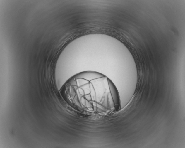 X0000113590136200909181056