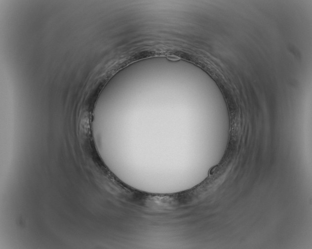 X0000113590137200909181056